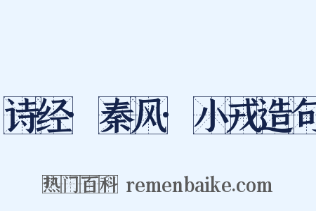 诗经·秦风·小戎造句是什么意思的图片